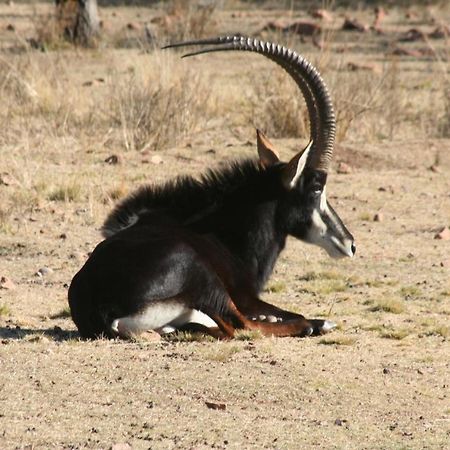 Waterberg Game Lodge Bela-Bela Eksteriør bilde
