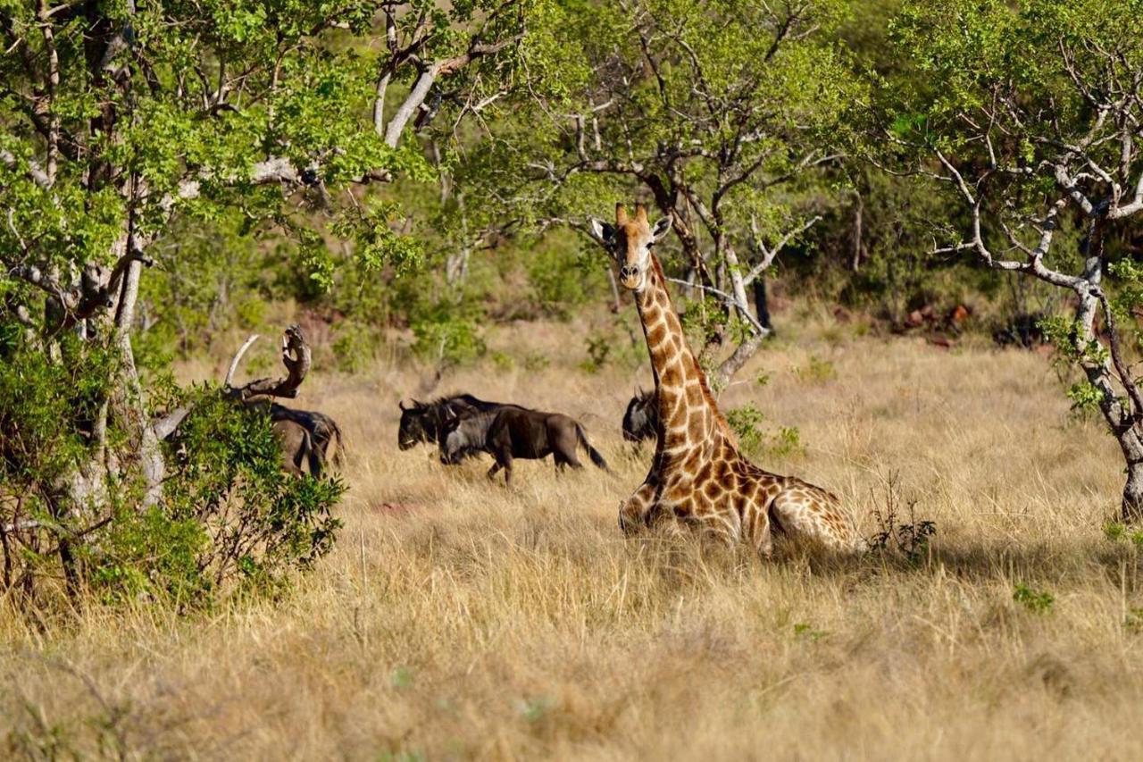 Waterberg Game Lodge Bela-Bela Eksteriør bilde